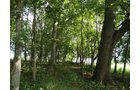 Property photo 4 - 72 Acres offered in 6 Tracts